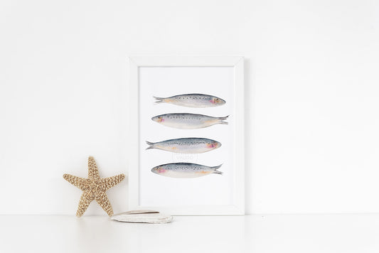 Sardines, Maritime Living, Fish Wall Art, Hand-painted Print, Seafarer, Fisherman Aesthetic, Watercolor print
