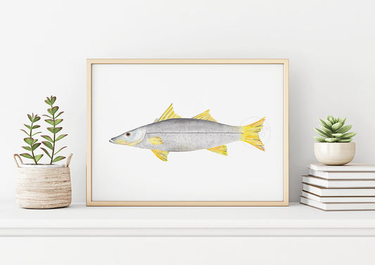 Snook Wall Art, Hand-painted Watercolor Print, Fisherman Gift, Inshore Fish