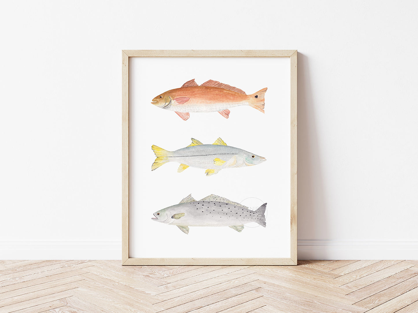 Fish Wall Art, Hand-painted Print, Grand Slam Fish, Red Drum, Snook, Spotted Sea Trout, Florida Fisherman