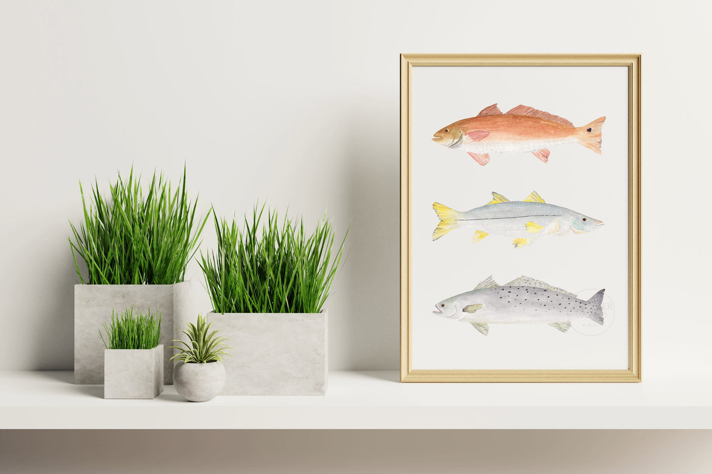 Fish Wall Art, Hand-painted Print, Grand Slam Fish, Red Drum, Snook, Spotted Sea Trout, Florida Fisherman