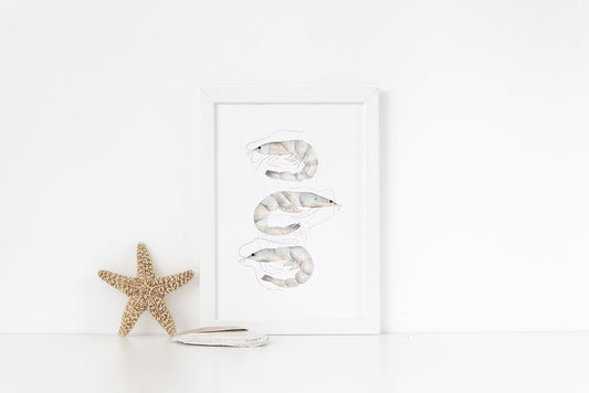 Grey Shrimp Artwork | Hand-painted Watercolor Print | Coastal Wall Art | Ocean Inspired Decor