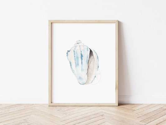 Conch Shell Wall Art, Coastal Home Decor, Watercolor Print