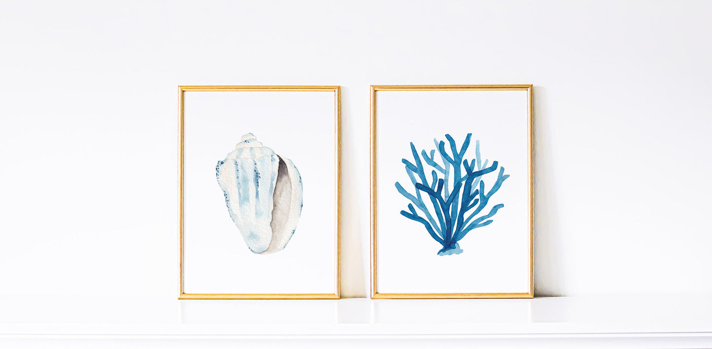 Conch Shell Wall Art, Coastal Home Decor, Watercolor Print