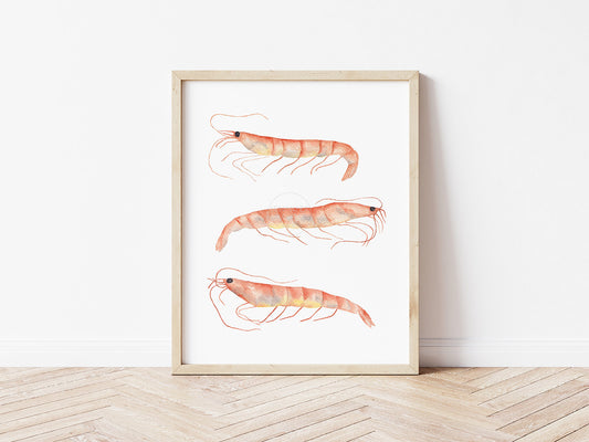 Shrimp Artwork, Coastal Wall Art, Hand-painted Watercolor Print, Ocean Inspired Decor
