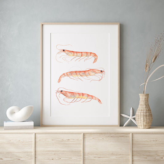 Shrimp Artwork, Coastal Wall Art, Hand-painted Watercolor Print, Ocean Inspired Decor