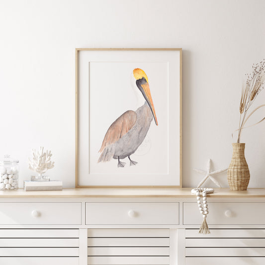 Pelican Wall Art, Watercolor Print