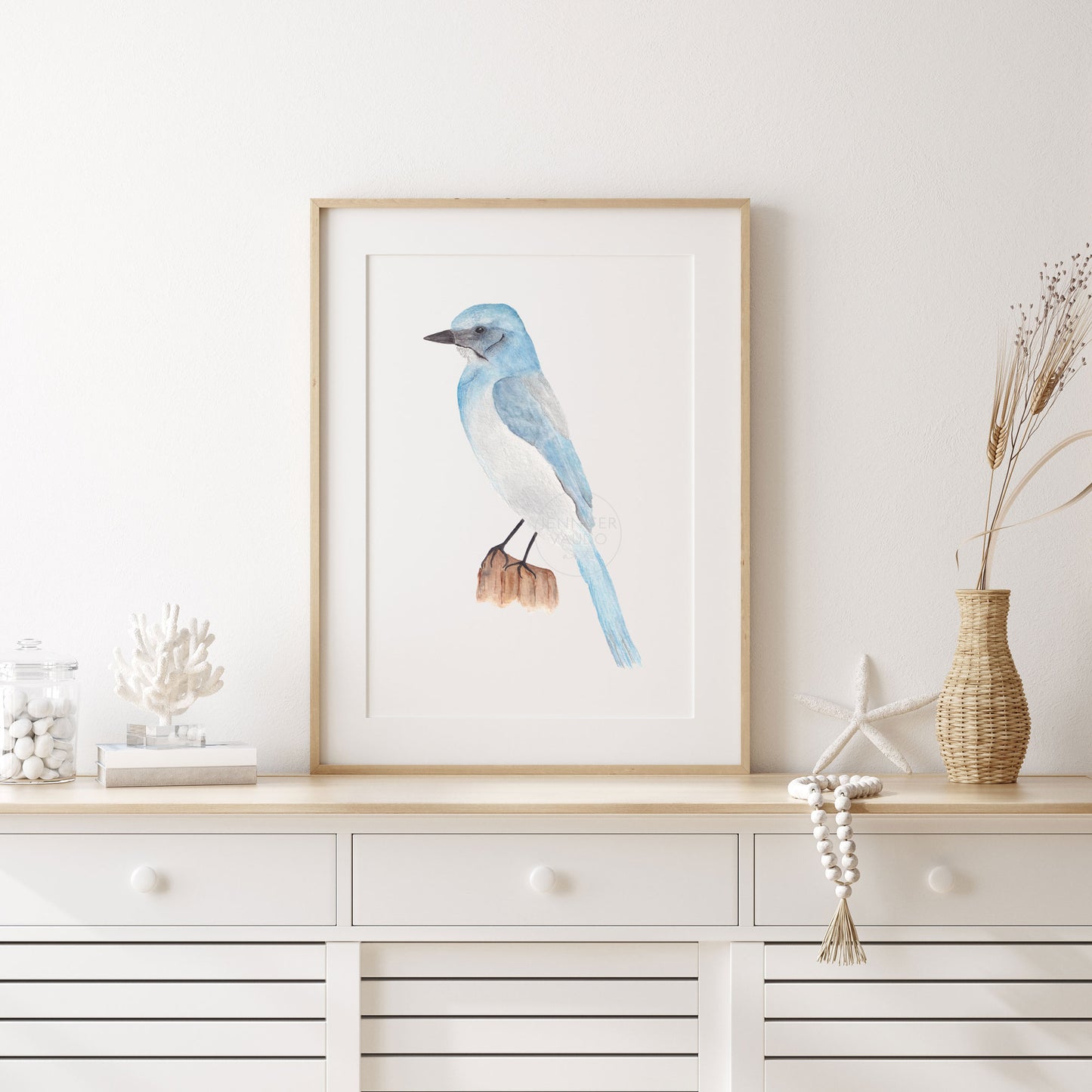 Scrub-jay Wall Art, Watercolor Bird Print