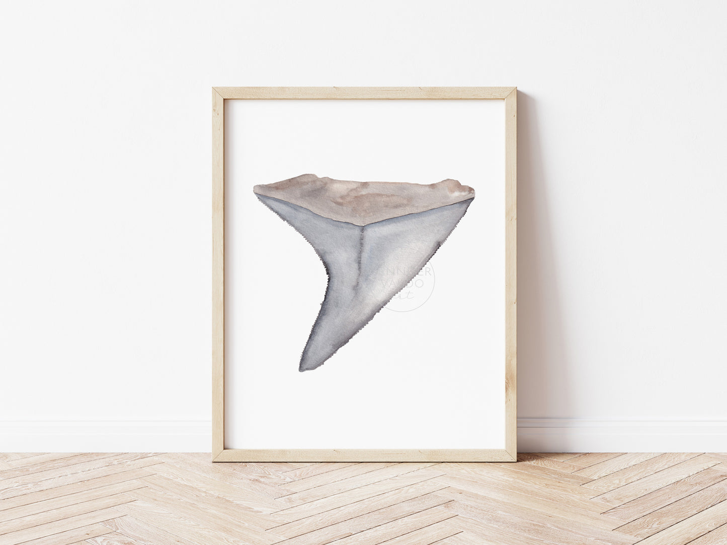 Shark Tooth Wall Art