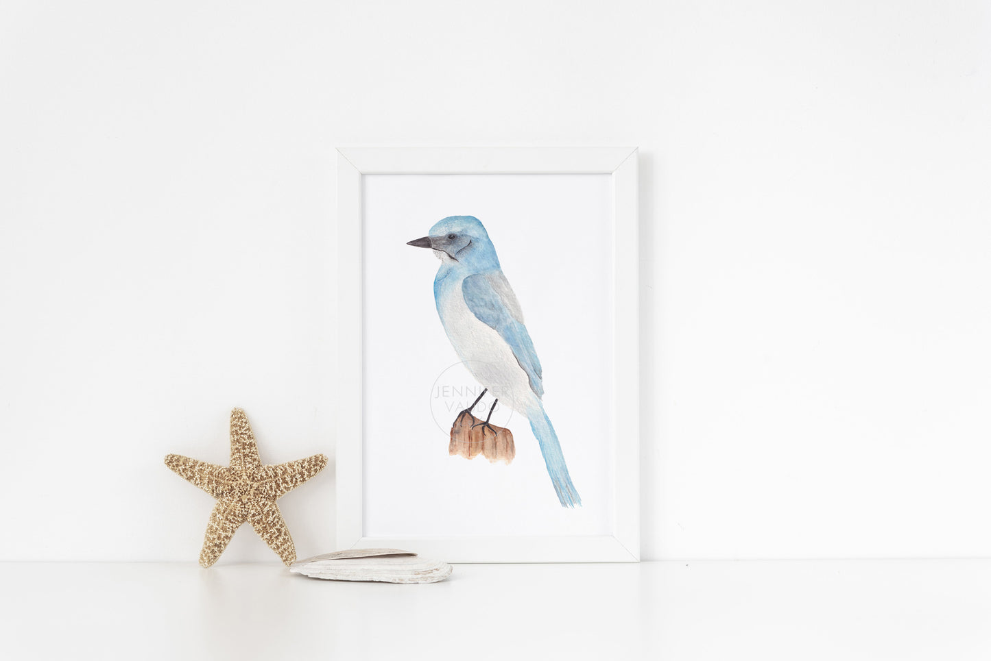 Scrub-jay Wall Art, Watercolor Bird Print