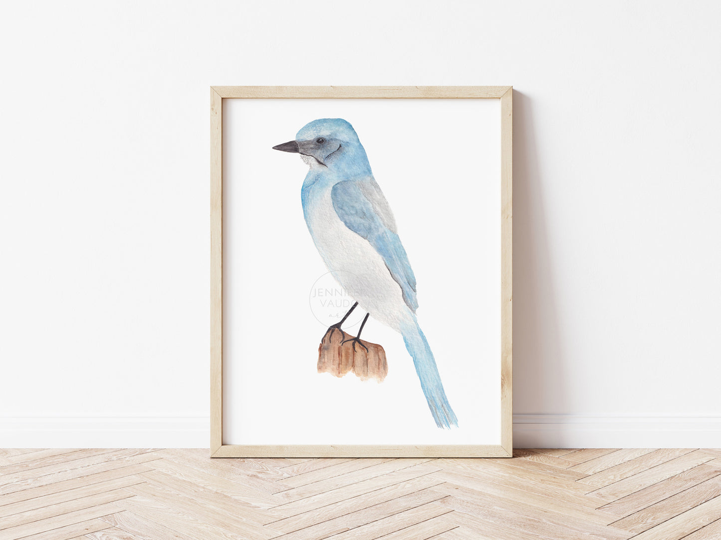 Scrub-jay Wall Art, Watercolor Bird Print