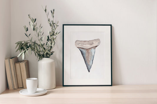 Shark Tooth Wall Art, Coastal Home Decor, Nautical Artwork, Watercolor Hand-painted print