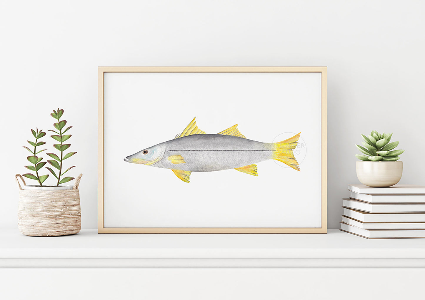 Snook Wall Art, Hand-painted Watercolor Print, Fisherman Gift, Inshore Fish