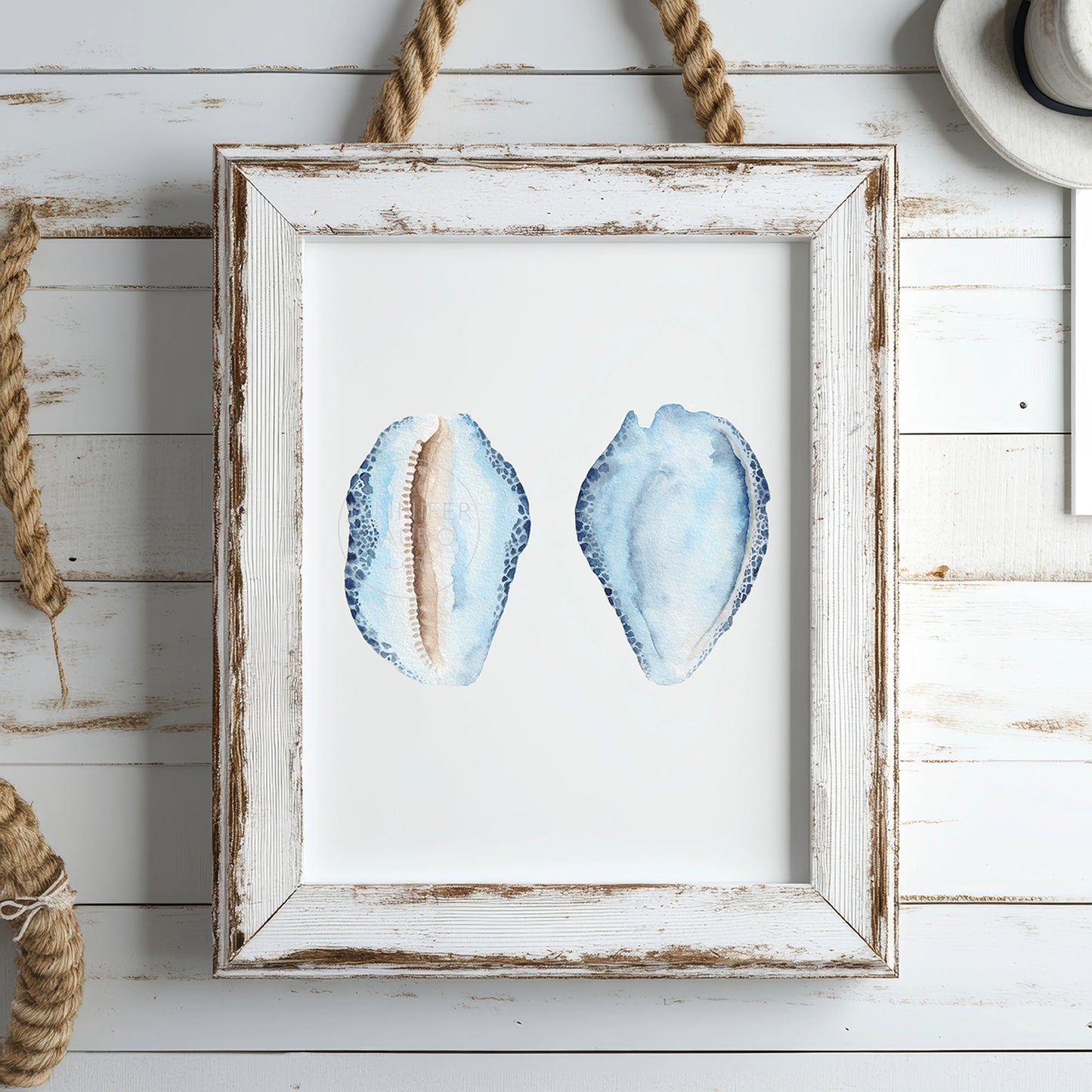 Sea Shell Wall Art, Coastal Home Decor, Hand-painted watercolor print