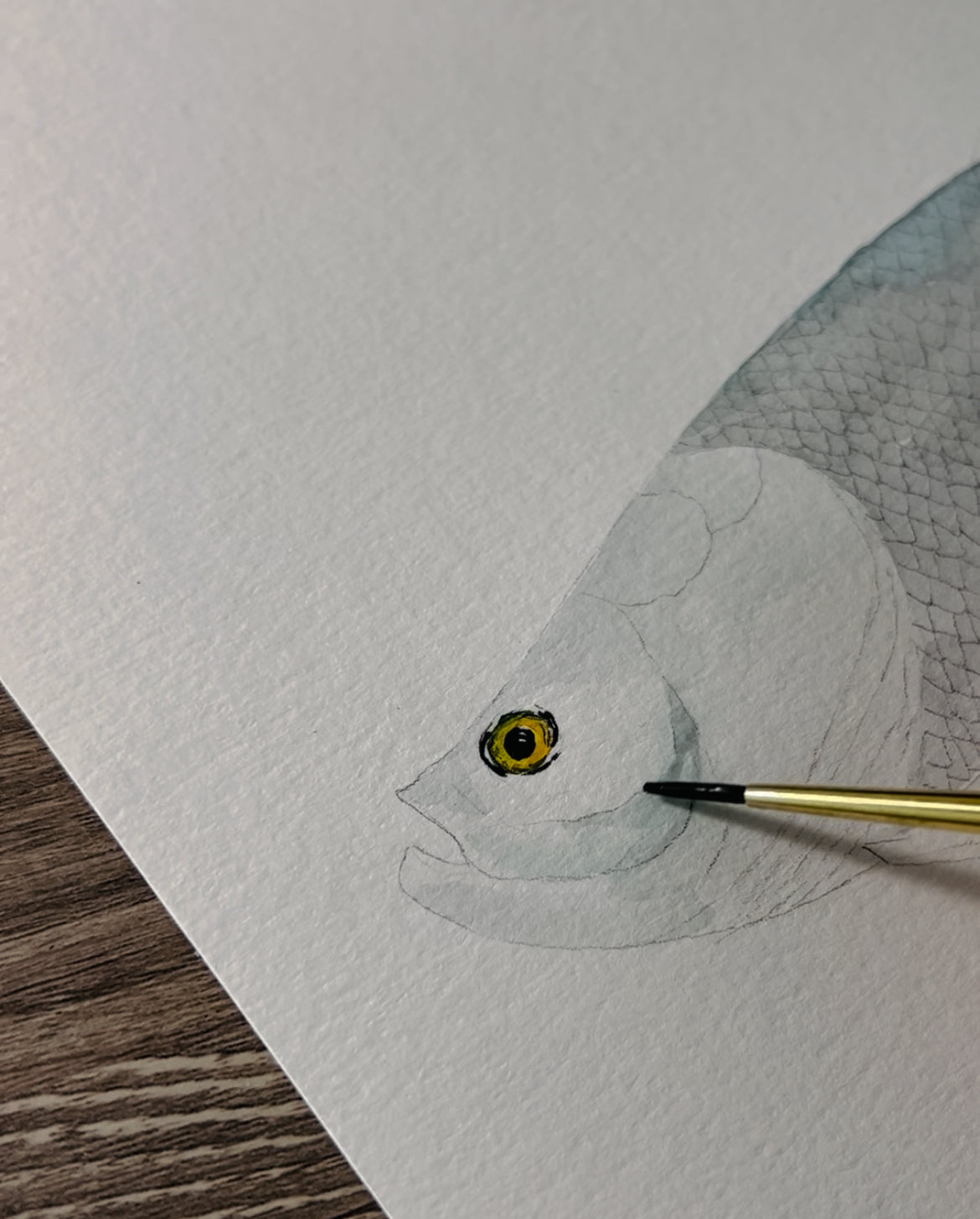 Tarpon Wall Art, Hand-painted Watercolor Fish Print, Fisherman Gift, Father's Day Present