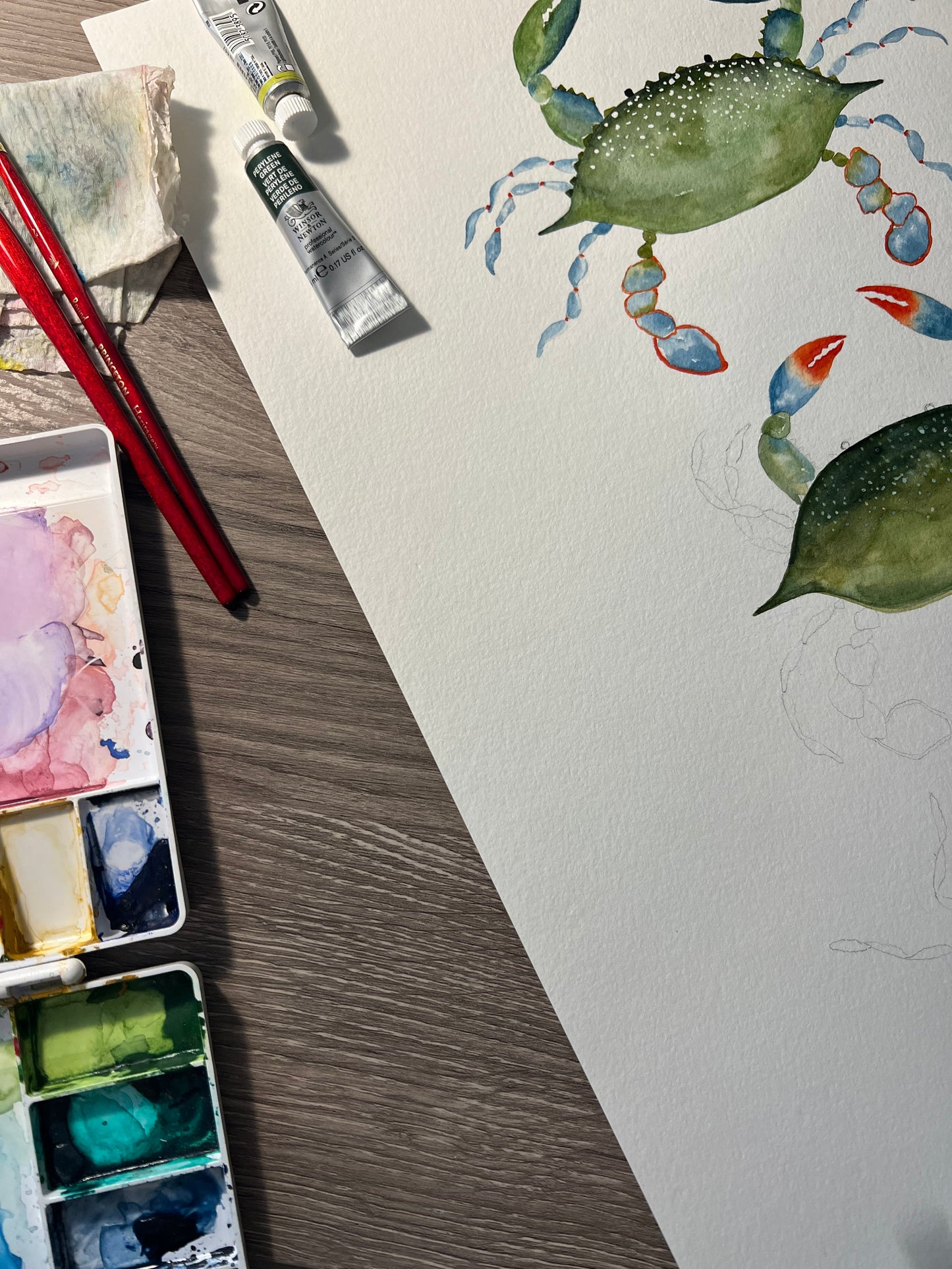 Blue Crab | Crab Wall Art | Hand-painted Watercolor Print | Coastal Wall Decor | Sea Life Artwork