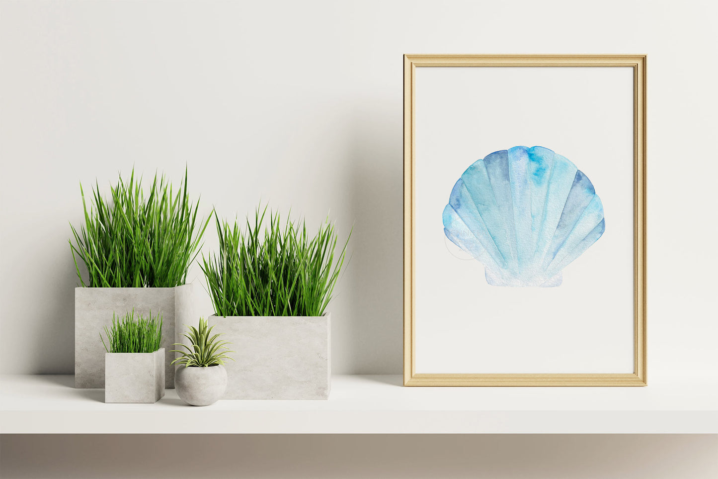 Sea Shell Wall Art, Coastal Home Decor, Watercolor Print