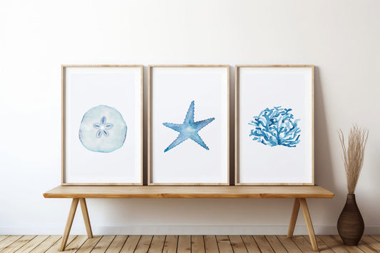 Set of Three Coastal Art Prints, Nautical Watercolor Artwork, Starfish, Shell, Sand Dollar
