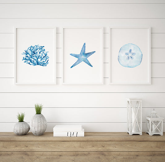 Set of Three Coastal Art Prints, Nautical Watercolor Artwork, Starfish, Shell, Sand Dollar