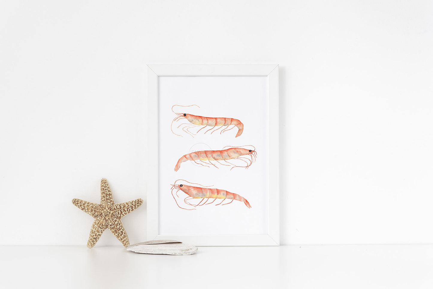 Shrimp Artwork, Coastal Wall Art, Hand-painted Watercolor Print, Ocean Inspired Decor