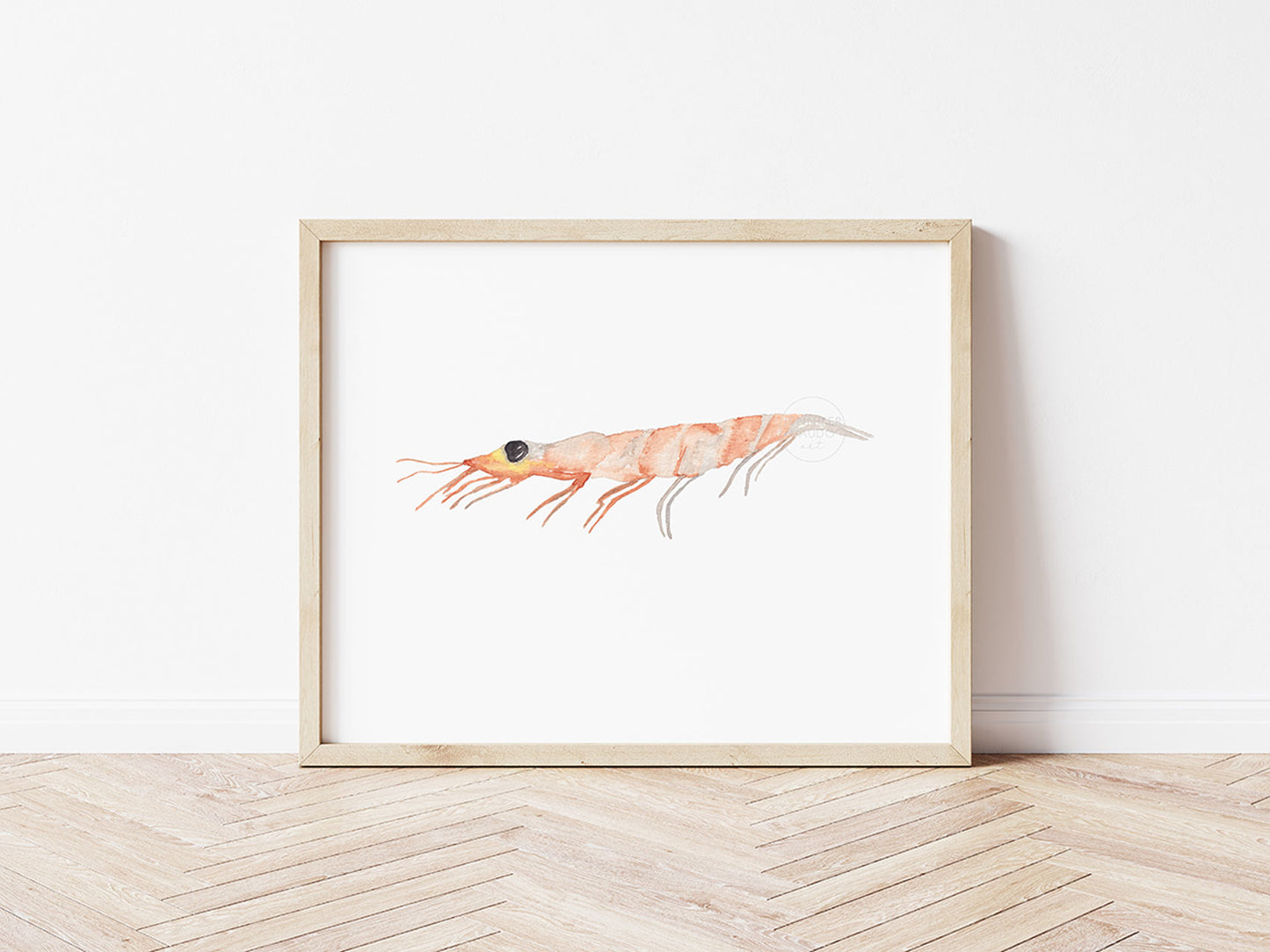 Shrimp Art Print, Sea Creature Artwork, Zoo Plankton, Coastal Wall Decor