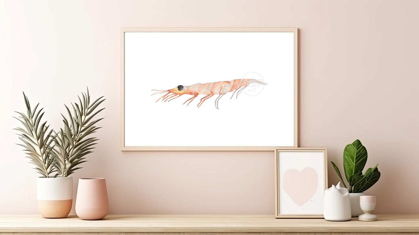 Shrimp Art Print, Sea Creature Artwork, Zoo Plankton, Coastal Wall Decor