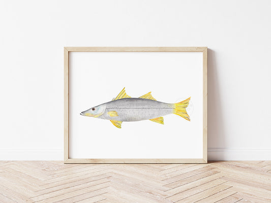 Snook Wall Art, Hand-painted Watercolor Print, Fisherman Gift, Inshore Fish