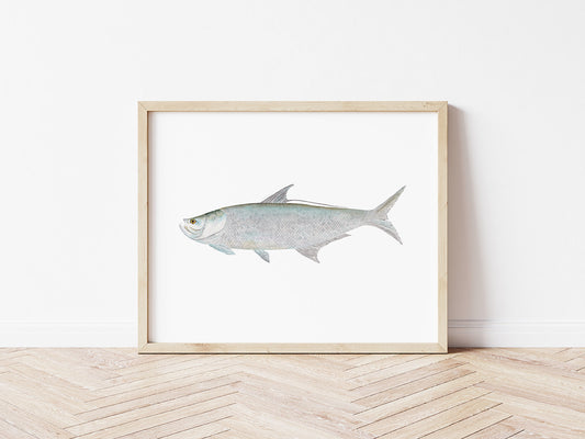Tarpon Wall Art, Hand-painted Watercolor Fish Print, Fisherman Gift, Father's Day Present