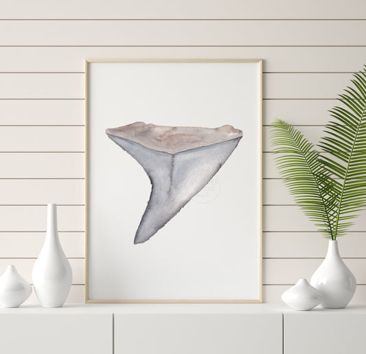 Shark Tooth Wall Art